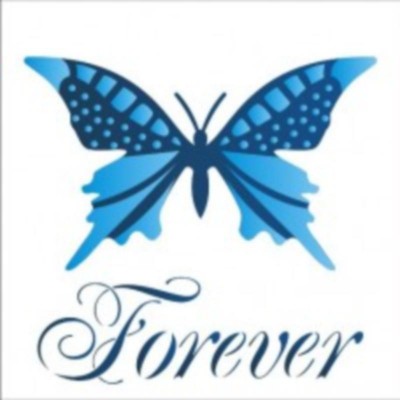 Stencil OPA 1371 Borboleta Forever 14X14cm Dublo_OPA1371
